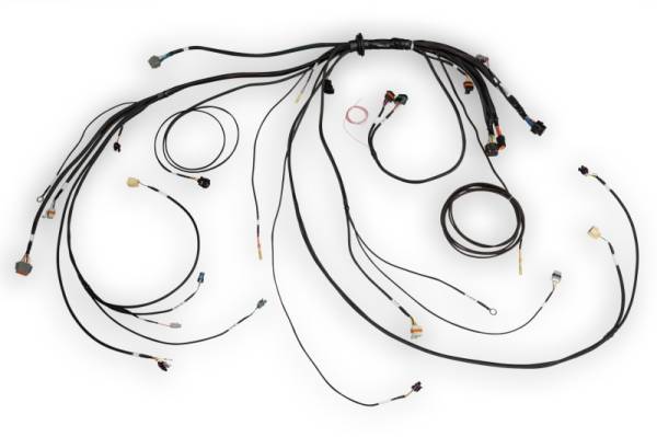 Haltech - Haltech HT-186500 Haltech NEXUS Rebel LS Terminated Harness for ECU