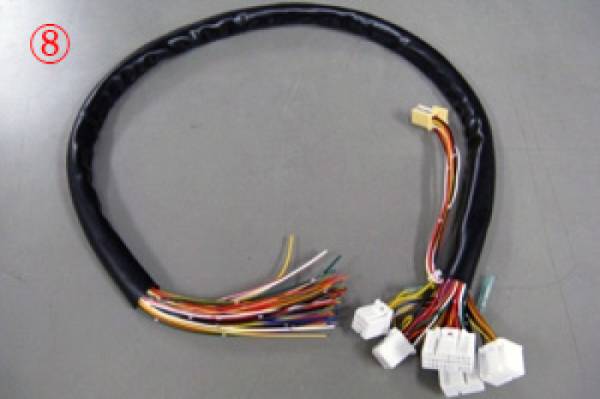 HKS - HKS 4202-RA003 HKS F-con Harness for modification