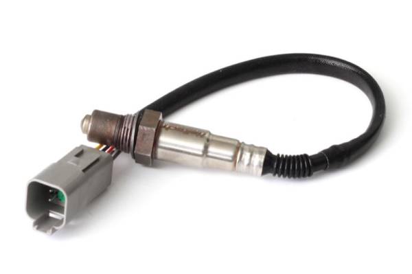 Haltech - Haltech HT-010714 Haltech Wideband O2 Sensor (Bosch LSU 4.2)