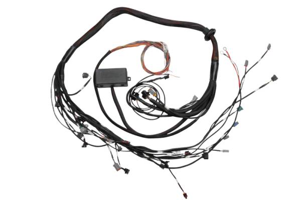 Haltech - Haltech HT-130318 Haltech Elite 2000/2500 Terminated Engine Harness