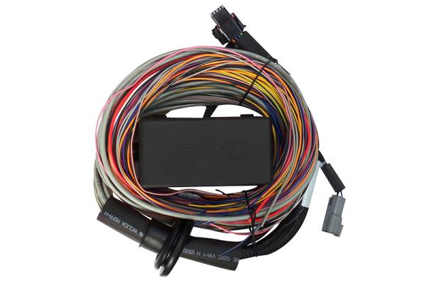 Haltech - Haltech HT-140604 Haltech Elite 750 Premium Universal Wire-In Harness - 2.5m (8ft)