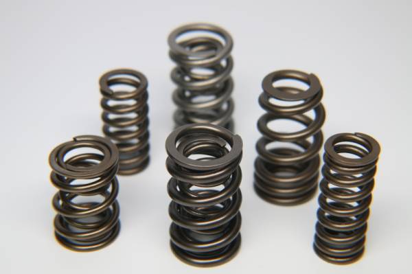 Ferrea - Ferrea S11012 Ferrea 1.225in to 1.570in Dia 1.04/1.56 OD 0.74/1.145 ID Dual w/Damper Valve Spring - Set of 16
