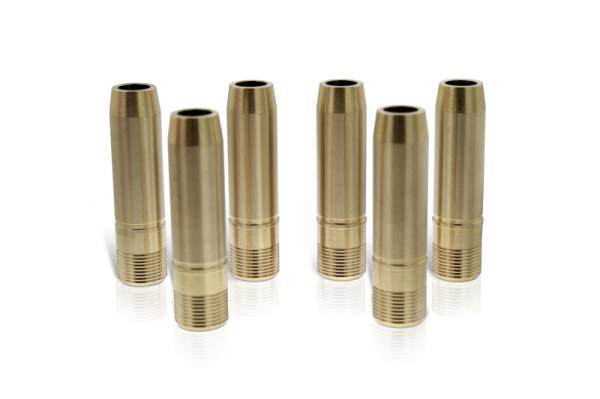 Ferrea - Ferrea VG1087 Ferrea Big & Small Block 5/16 Exh & Int Valve Guide - Set of 8 (Use w/VS1020)