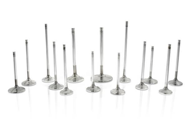 Ferrea - Ferrea VS1027-1 Ferrea 11/32 .530in ID Viton Hi-Temp Exhaust/Intake Valve Stem Seal - Single (Drop Ship Only)