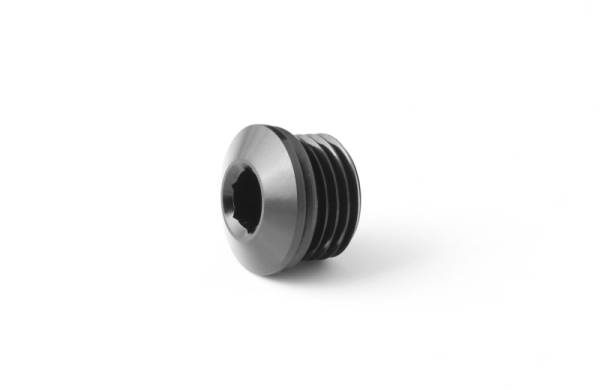 Go Fast Bits - GFB Go Fast Bits 5738 GFB -6AN Blanking Plug (Suits FXR 8060)
