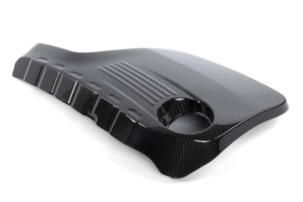 Dinan - GFBV D590-0006 Dinan Engine Cover - 2015-2021 BMW M2C/M3/M4 - Fits 2015-2021 BMW M4, M3, M2
