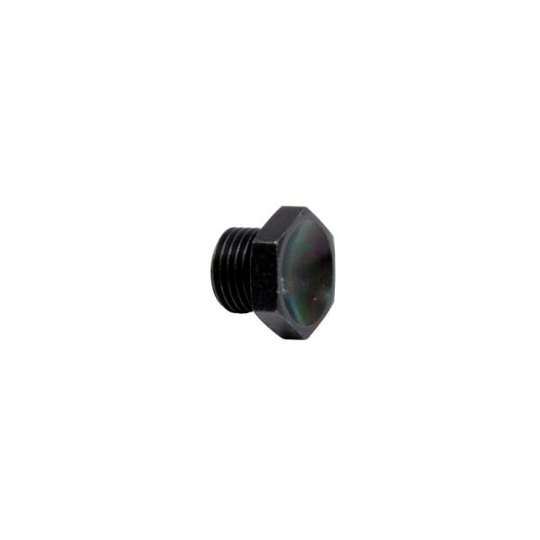 AEM - AEM 25-604 AEM High Volume Fuel Rail Port Plug