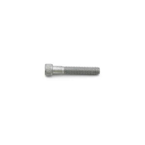 Wilwood - Wilwood 230-3632 Wilwood SHCS 1/4-20x1.50 LG Bolt ALLOY