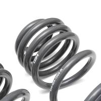 034Motorsport - 034 Motorsports Dynamic+ Lowering Springs for 8S Audi TT RS 034-404-1006 - Image 2