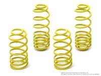 NEUSPEED Spring Kit Race for TT MK1