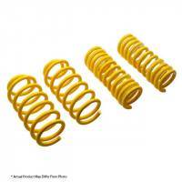 Lowering Springs