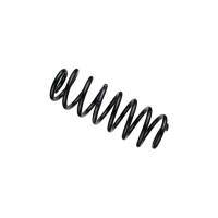 Lowering Springs