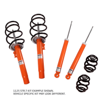 Lowering Springs