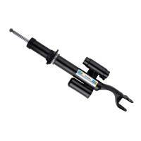 Shocks & Struts