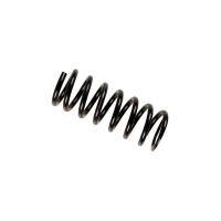 Lowering Springs