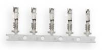 MSD - BCCX 8289-8 MSD Ignition Coil - Smart - 8-Pack - Red - Image 11