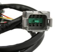 MSD - BCCX 2275 Sensor 2, Replacement Harness for Part Number 7766 - Image 3