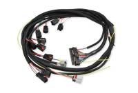 BCCX 88863 6-Hemi Harness 2003-2005