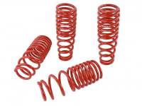 Lowering Springs