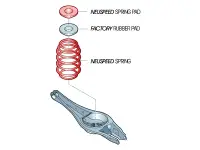 Neuspeed - NEUSPEED Spring Riser Pad Kit - Rear - Image 2