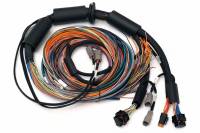 Haltech HT-183200 Haltech NEXUS R3 Universal Wire-In Harness - 2.5M (8ft)