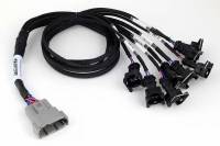 Haltech HT-186000 Haltech NEXUS V8 Junior Timer (EV1) Injector Primary Breakout (Plug-n-Play w/HT-186200)