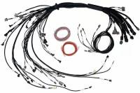 Haltech HT-186206 Haltech NEXUS R5 Non DBW Terminated Harness - Injector Connector EV1