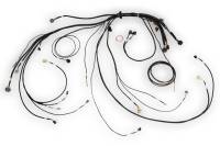 Haltech HT-186500 Haltech NEXUS Rebel LS Terminated Harness for ECU