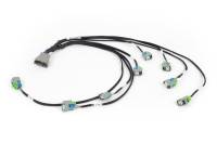 Haltech - Haltech HT-186502 Haltech NEXUS Rebel LS EV6 Injector Sub-Harness - Image 2