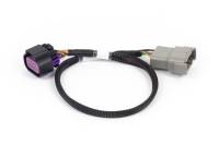 Haltech HT-186506 Haltech NEXUS Rebel LS 8-Pin DBW Adaptor