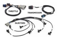 Haltech HT-220201 Haltech NEXUS Rebel LS Gen III Cable Throttle/EV1 Injectors/Manual Transmission