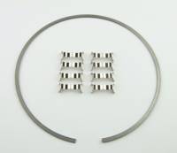 Wilwood 300-12561 Wilwood Kit Snap Ring (1) and Wear Plates (8) Dynamic Drag Rotor