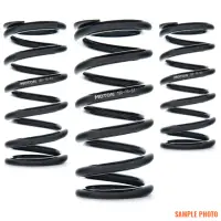 AST AST-200-80-51 AST Linear Race Springs - 200mm Length x 80 N/mm Rate x 51mm ID - Single