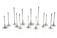Ferrea F2428P-1 Ferrea BMW S55 28mm 5.96mm 112.83mm STD Trpl Grv Comp Plus Ext Valve - Single (D/S Only)