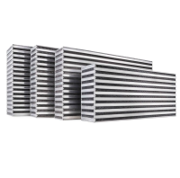 Garrett 873213-6002 Garrett BMW M3/M4 H2O / Air Intercooler CAC Core (9.80in x 3.60in x 7.20in) - 980 HP