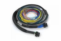 Haltech HT-182200 Haltech NEXUS S2/S3 Universal Wire-In Harness Kit - 2.5M (8ft)