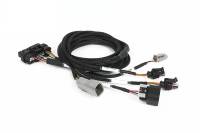 Haltech HT-189002 Haltech NEXUS Universal Plug-in IO Expansion Harness - 2.5m (8ft)