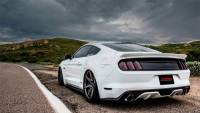 CORSA Performance - CORSA Performance 14332 Corsa 2015-2017 Ford Mustang GT 5.0 3in Cat Back Exhaust Polish Dual Tips (Sport) - Image 5