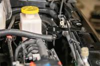 CORSA Performance - CORSA Performance CC0002 Corsa 2018-2025 Jeep Wrangler JL & JLU / Gladiator JT (3.6L) Oil Catch Can - Image 5