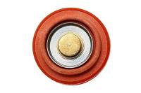 RADIUM Engineering 18-0017 Radium Engineering Diaphragm Service Replacement FPR