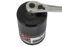 aFe - aFe 44-LF007-MB aFe Pro GUARD D2 Oil Filter 97-08 Ford Trucks V6 4.2L / V8 4.6L (4 Pack) - Image 2