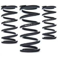 AST AST-120-190-61 AST Linear Race Springs - 120mm Length x 190 N/mm Rate x 61mm ID - Single