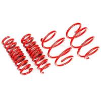 AST - AST ASTLS-19-311 AST Suspension 2017+ Tesla Model 3 SR RWD/SR Plus RWD/Mid Range RWD Lowering Springs 40mm/40mm - Image 2
