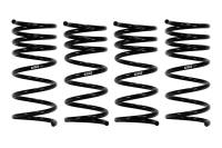 Eibach 2001.140 Eibach Pro-Kit 66-76 BMW 2002 - Fits 1966-1976 BMW 2002