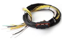 Haltech HT-040025 Haltech HPI8 High Power Igniter 2m Flying Lead (Loom Only)