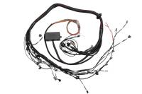 Haltech HT-130318 Haltech Elite 2000/2500 Terminated Engine Harness