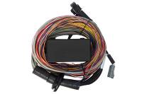 Haltech HT-140604 Haltech Elite 750 Premium Universal Wire-In Harness - 2.5m (8ft)