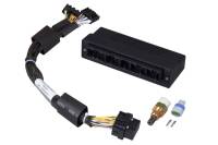 Haltech HT-140622 Haltech Elite 750 Plug-n-Play Adaptor Harness