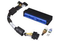 Haltech HT-140661 Haltech Elite 750 Plug-n-Play Adaptor Harness