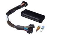 Haltech HT-140823 Haltech Elite 1000/1500 Plug-n-Play Adaptor Harness